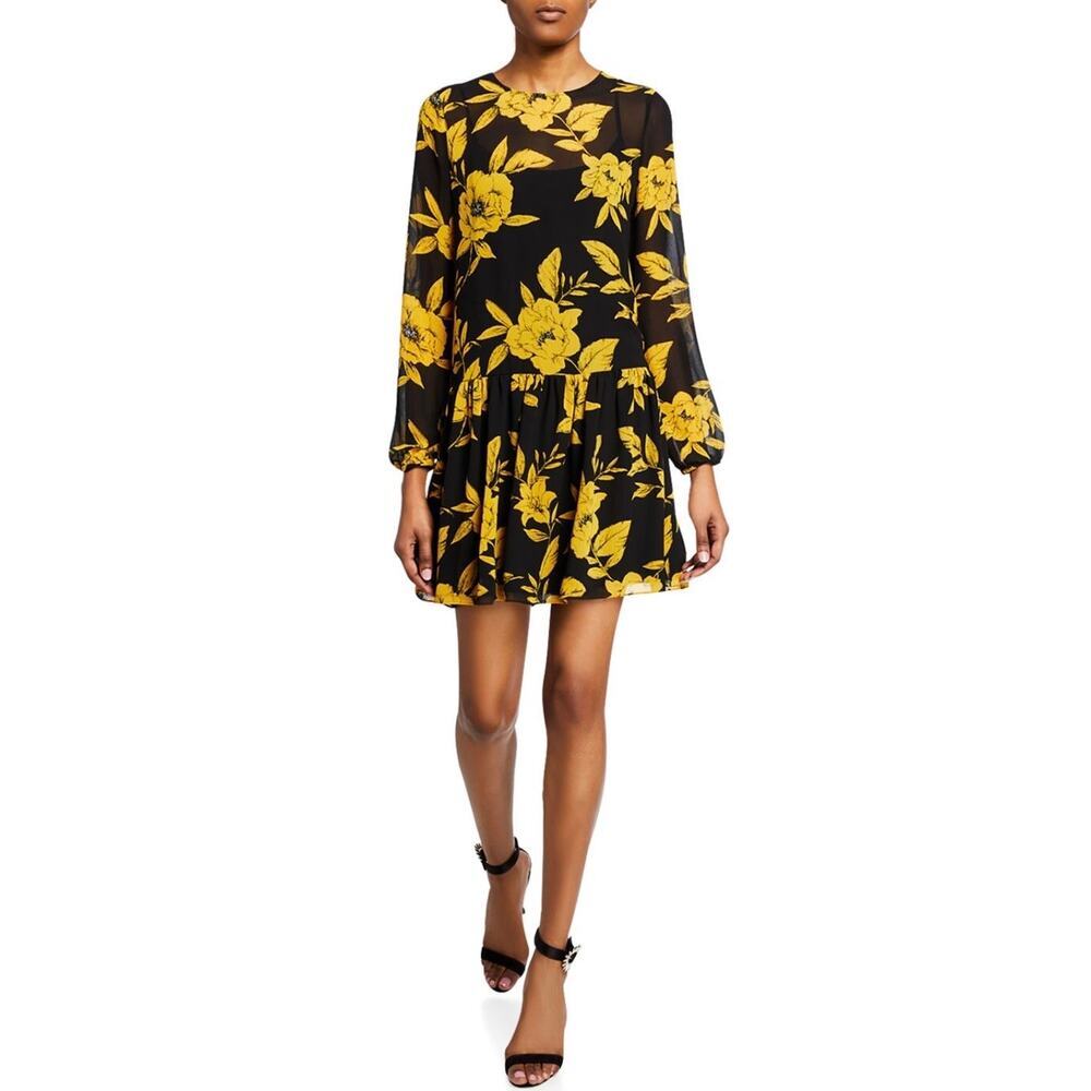 Jay Godfrey Floral Dress Size 6 Medium Long Sleeve Drop Waist Flouncy Romantic
